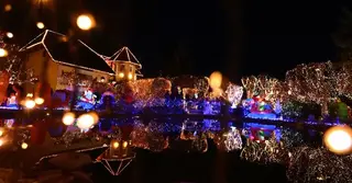 ক্রিসমাস ঘিরে অস্ট্রিয়ান দম্পতির অভিনব আয়োজন